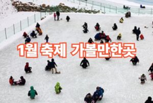 1월 축제 가볼만한 곳