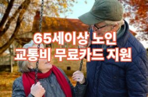 65세 이상 노인 교통비 지원 신청방법