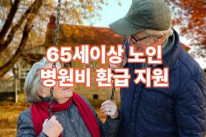65세 이상 노인 병원비 환급·지원