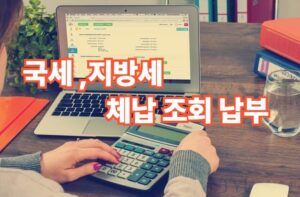 국세 지방세 체납 조회