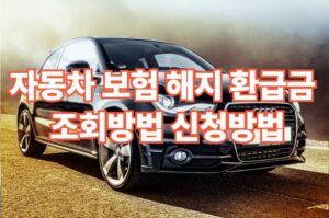 자동차 보험 해지 환급금 조회 및 신청