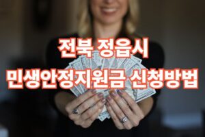 전북 정읍시 민생안정지원금