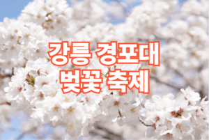 강릉 경포대 벚꽃 축제 일정 주차장