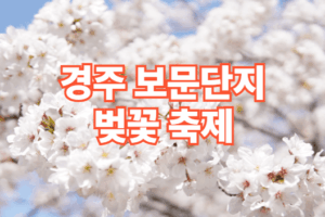 2026 경주 벚꽃 축제 일정 코스 주차장