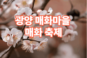 광양 매화마을 매화축제 일정 입장료 주차장 정보