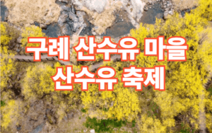 2026 구례 산수유마을 산수유 축제 일정 주차장 정보