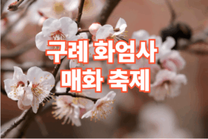 2026 구례 화엄사 매화 축제 일정 주차장 정보