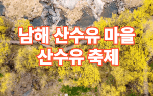 2026 남해 산수유마을 산수유 축제 일정 주차장 정보