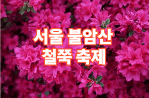 2026 서울 불암산 철쭉 축제 일정 코스 주차장 정보 완벽 가이드