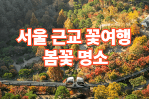 수도권 봄꽃 명소 TOP10 서울 근교 꽃여행