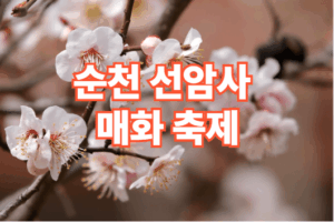 2026 순천 선암사 매화 축제 일정 주차장 정보