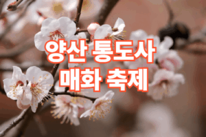 2026 양산 통도사 매화 축제 일정 주차장 정보