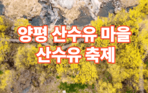 2026 양평 산수유마을 산수유 축제 일정 주차장 정보