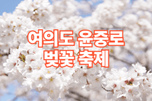 2026 서울 여의도 윤중로 벚꽃 축제 일정 주차장