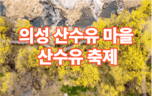 2026 의성 산수유마을 산수유 축제 일정 주차장 정보