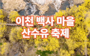 2026 이천 백사 산수유마을 산수유 축제 일정 주차장 정보