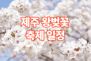 제주 왕벚꽃 축제 일정 주차장