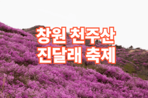 창원 천주산 진달래 축제 일정 코스 주차장 정보