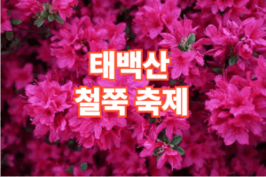 2026 태백산 철쭉 축제 일정 코스 주차장 정보