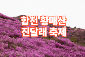 합천 황매산 진달래 축제 일정 코스 주차장 정보