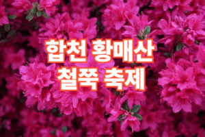 2026 합천 황매산 철쭉 축제 일정 코스 주차장 정보