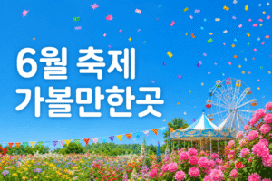 6월 축제 가볼만한곳 2026 전국 추천 BEST