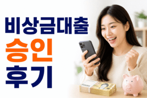 비상금대출 즉시승인 후기