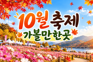10월 축제 가볼만한곳 2026년 전국추천 BEST 10 총정리